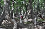 Atravessando um trecho de bosque na trilha da Loma del Pliegue Tumbado, em El Chaltén, na patagônia argentina